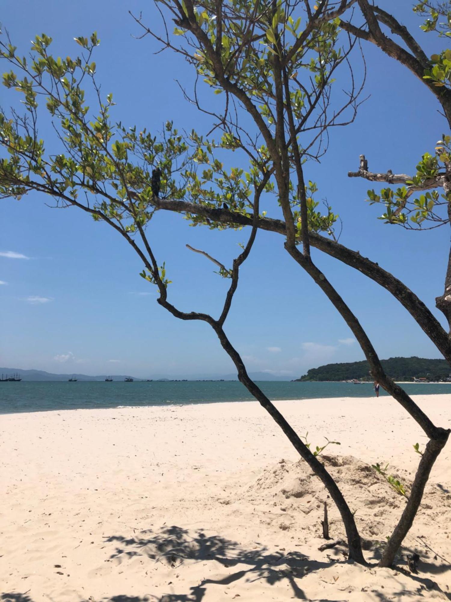 Ap Amplo Com Vista Para Mar Com 3 Suites Florianopolis Bagian luar foto